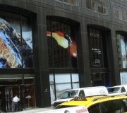 10corporate-window-graphics-installs-phillips