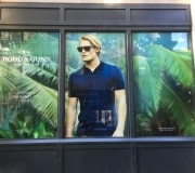 Vinyl graphics installed direct to the storefront window . the vinyl graphs can be installed form inside the glass or directly on the glass from outside .