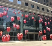 The entire entryway glass is installed with digitally printed vinyl graphics