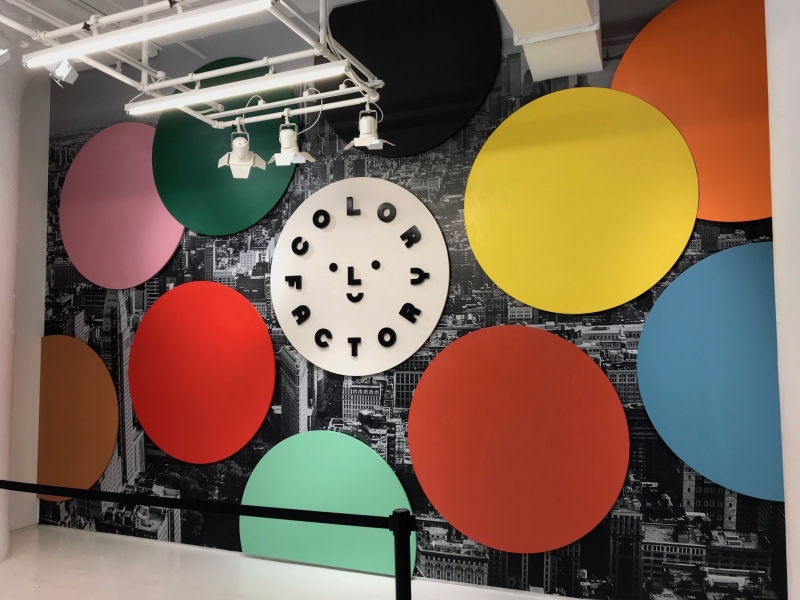 Vinyl Wall Mural for entry at Color Factory NYC
