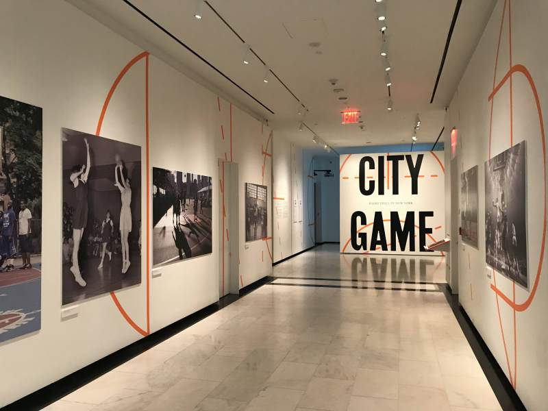 Museum exhibit produced with Cad Cut Vinyl lettering and large format graphics