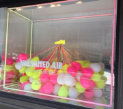 olympic windows